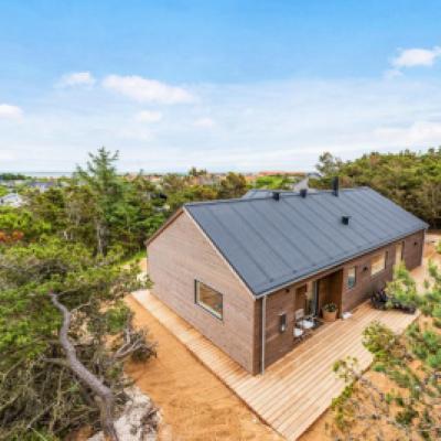 Charmantes Ferienhaus mit Außendusche und Panoramablick, Dänemark
