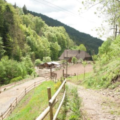 Horberlehof