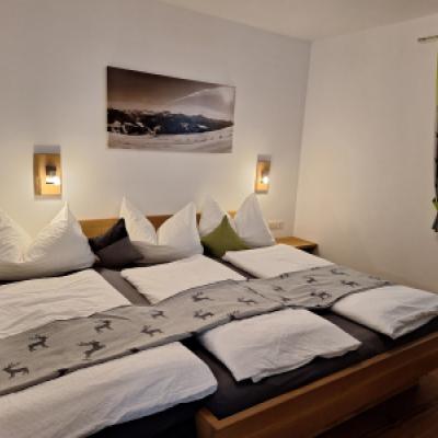 Ferienwohnung Apart Bergluft
